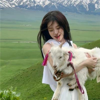 洋葱乱报
